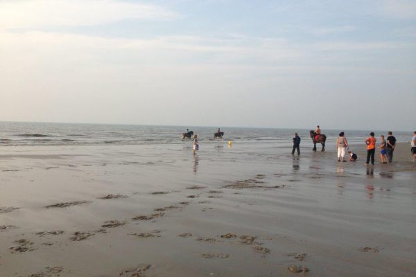 img-2704b3853b63-f033-46ac-a4c6-55c4fad0af05F54CAEEB-DC86-6539-0D51-A387F3D3E2D7.jpg